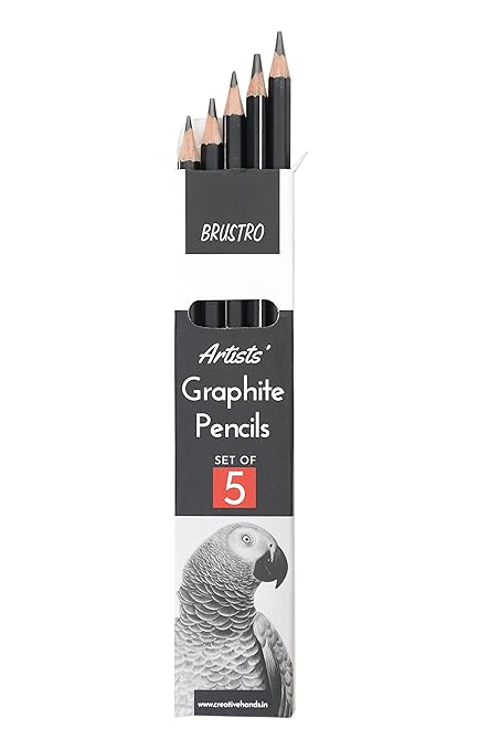 BRUSTRO Artist's Graphite Pencil set | Set of 5 (2B, 4B, 6B, 8B, 10B)