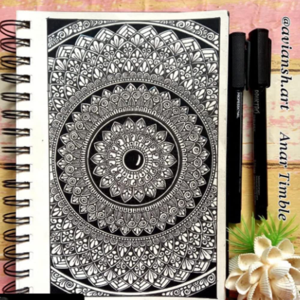 BRUSTRO Professional Pigment Based Fineliner Pen |Black| Set of 8 |