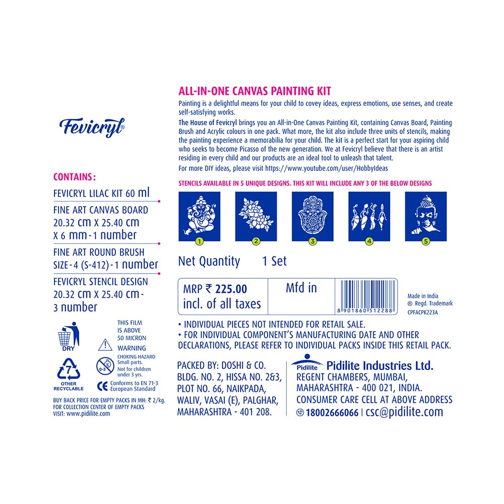 Fevicryl Pidilite All in One Artist Canvas Kit | DIY Kit | Gifting Kit