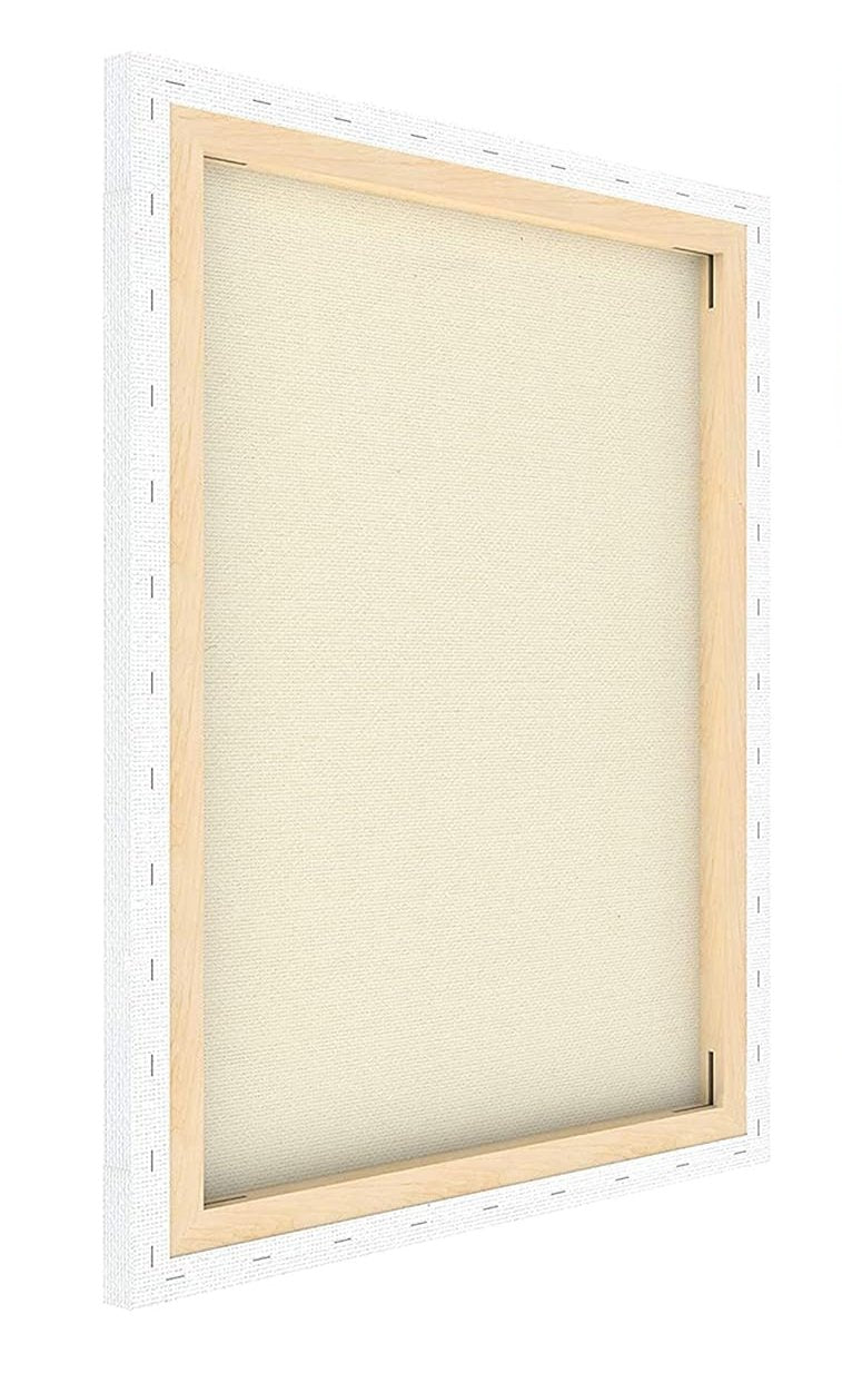 Roy Fine Art Pre Stretched Canvas with Wooden Frame | 18 x 24 inch | White | One piece