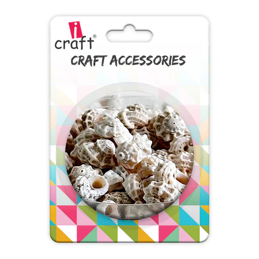 Premium Sea Shells | Resin Material