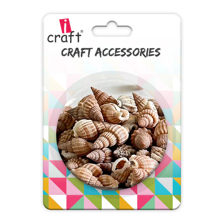 Premium Sea Shells | Resin Materials