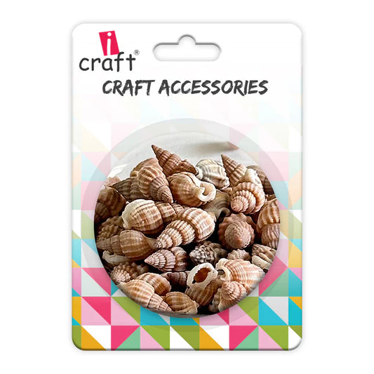 Premium Sea Shells | Resin Materials