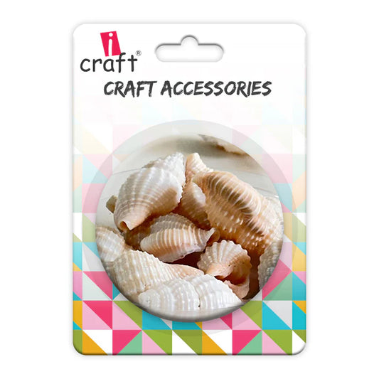 Premium Sea Shells | Resin Art Material
