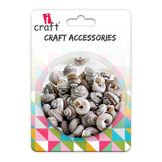 Premium Sea Shells | Resin Art Material