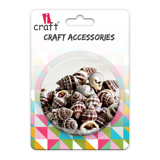 Premium Sea Shells | Resin Art Material