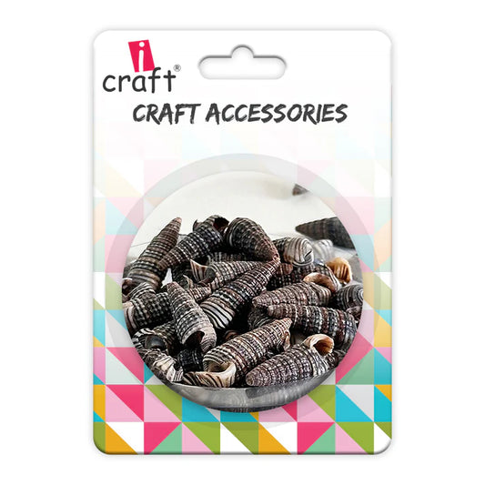 Premium Sea Shells | Resin Art Material