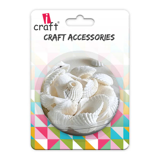 Premium Sea Shells | Resin Art Material